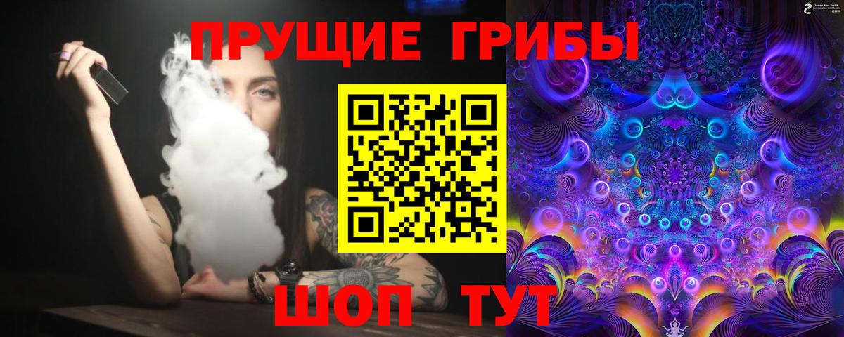 купить   Вход с VPN  Новый Уренгой  Галлюциногенные грибы GOLDEN TEACHER 